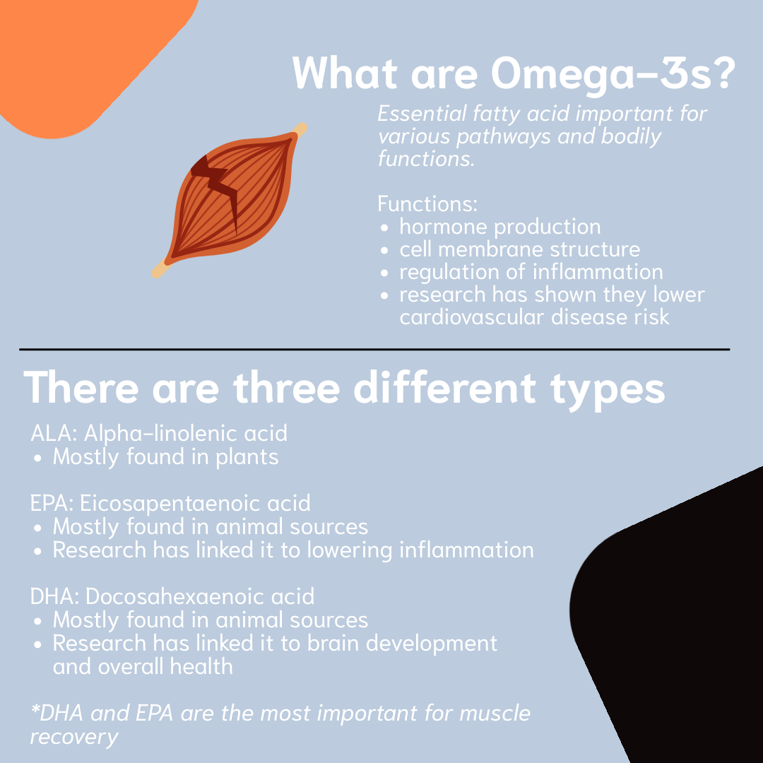 Omega 3 s Impact on Muscle Soreness and Recovery Athlete